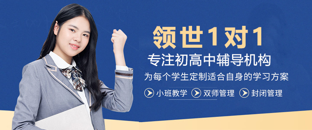 上海領(ling)世1對1