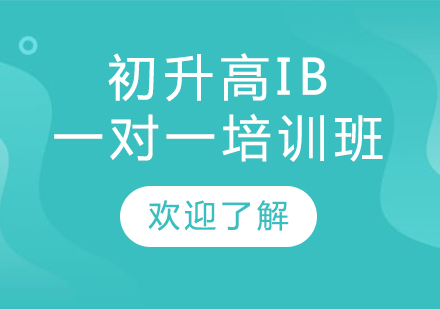 上海初升高(gao)IB一(yi)對一(yi)培訓班