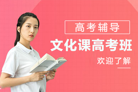 上海文(wén)化課高(gao)考班