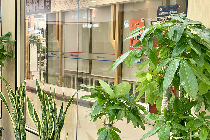 上海新(xin)舟素養_教室環境一(yi)角