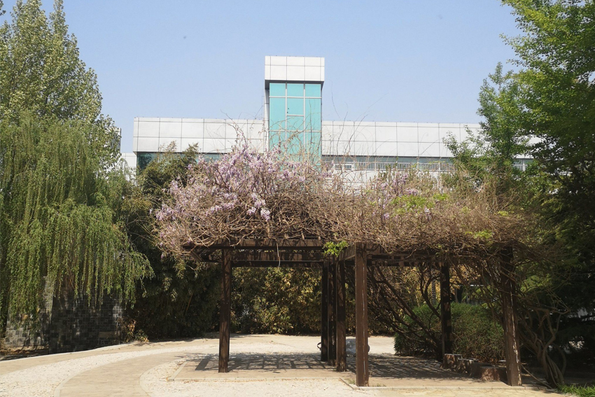 學(xué)校環境圖片