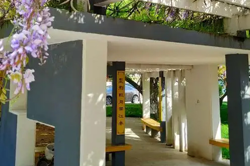 上海紫藤留學(xué)_學(xué)校環境相冊